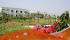 Mrr Institute Of Technology &  Science, Udayagiri