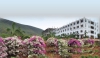 Visakha Institute Of  Engineering & Technology