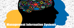 Management Information Systems course image